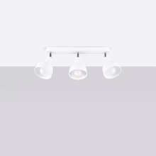 Elba 3 Ceiling Light