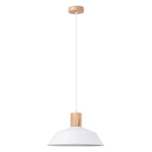 Fano Pendant