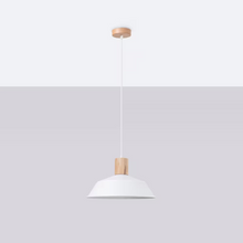 Fano Pendant