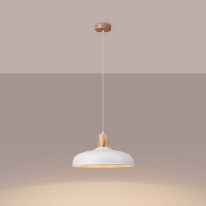 Indy Pendant