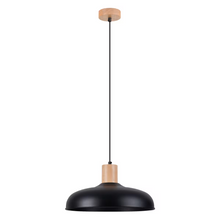 Indy Pendant