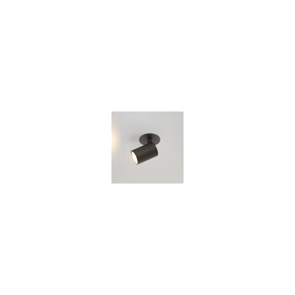 Ascoli Recessed Adjustable Recessed Ceiling Spotlight