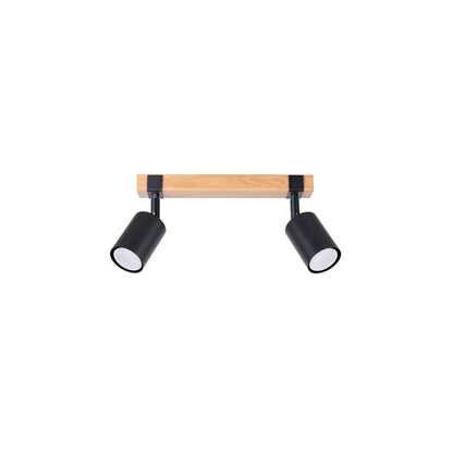 Fager 2 Ceiling Light in Black
