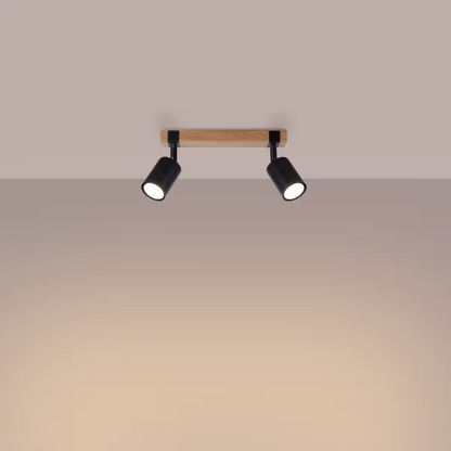 Fager 2 Ceiling Light
