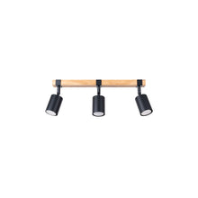 Fager 3 Ceiling Light in Black