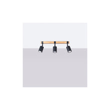Fager 3 Ceiling Light in Black