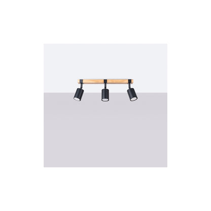 Fager 3 Ceiling Light in Black