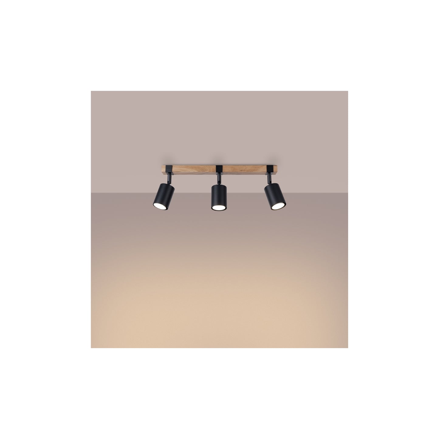 Fager 3 Ceiling Light in Black