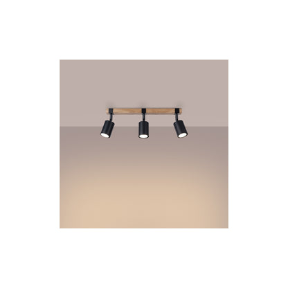 Fager 3 Ceiling Light in Black