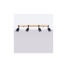Fager 4L Ceiling Light in Black