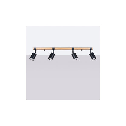 Fager 4L Ceiling Light in Black