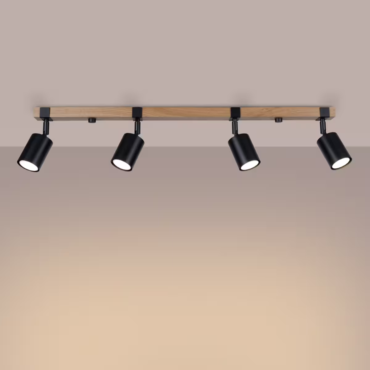 Fager 4L Ceiling Light