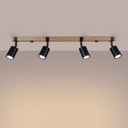 Fager 4L Ceiling Light