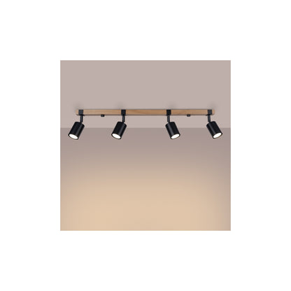 Fager 4L Ceiling Light in Black