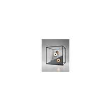 Ginger 32 C Small LED Wall Light with Lacquered Metal Aluminium Dissipater