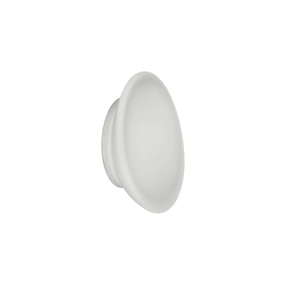 Dynamic Modern LED Wall or Ceiling Mounted Light