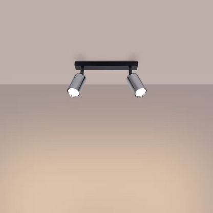 Winx 2 Ceiling Light