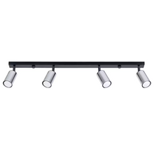 Winx 4L Ceiling Light