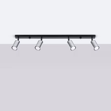 Winx 4L Ceiling Light