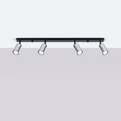 Winx 4L Ceiling Light