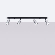 Winx 4L Ceiling Light