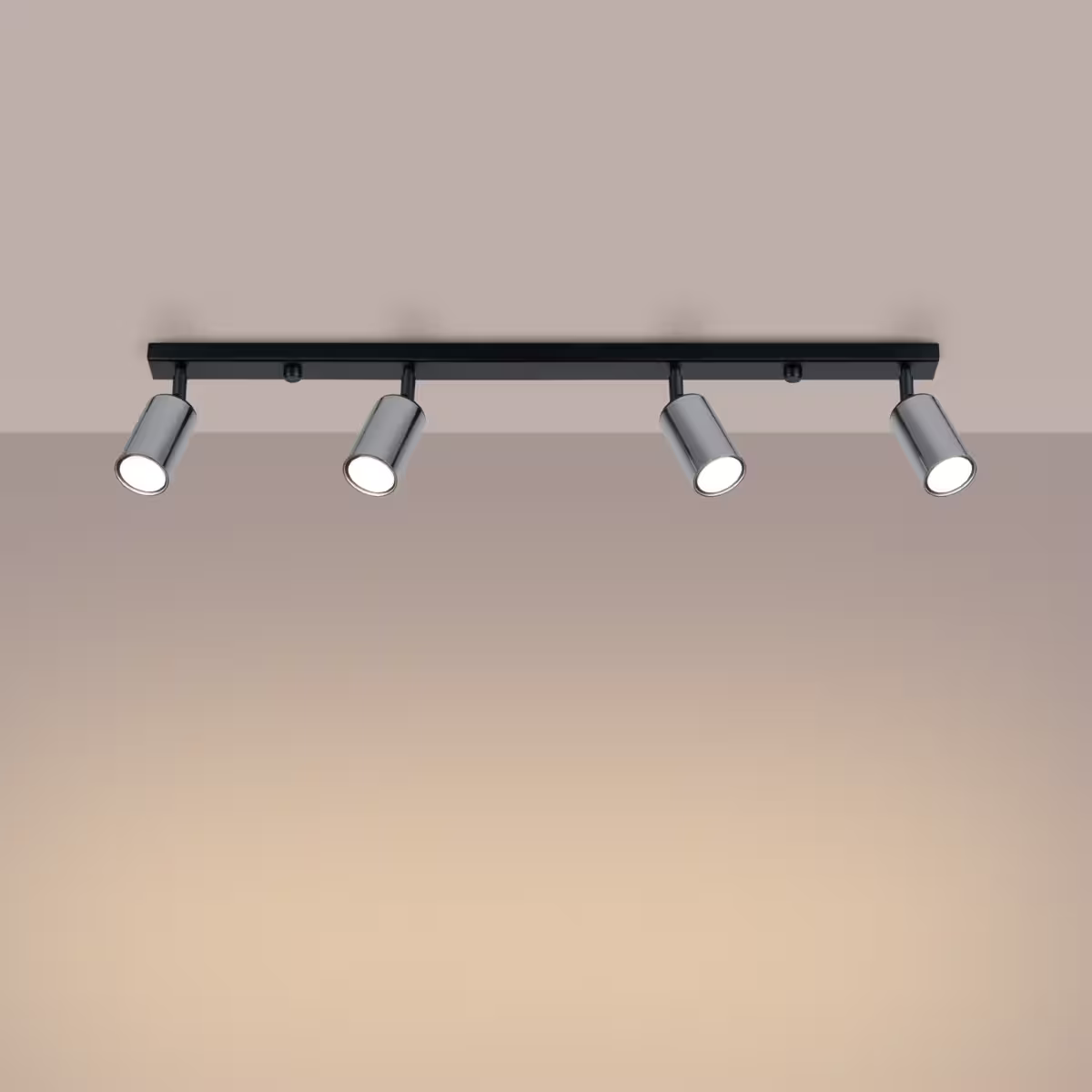 Winx 4L Ceiling Light