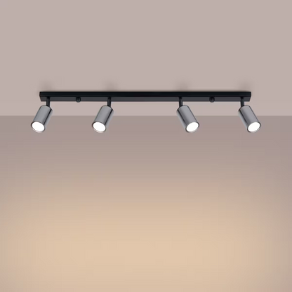 Winx 4L Ceiling Light