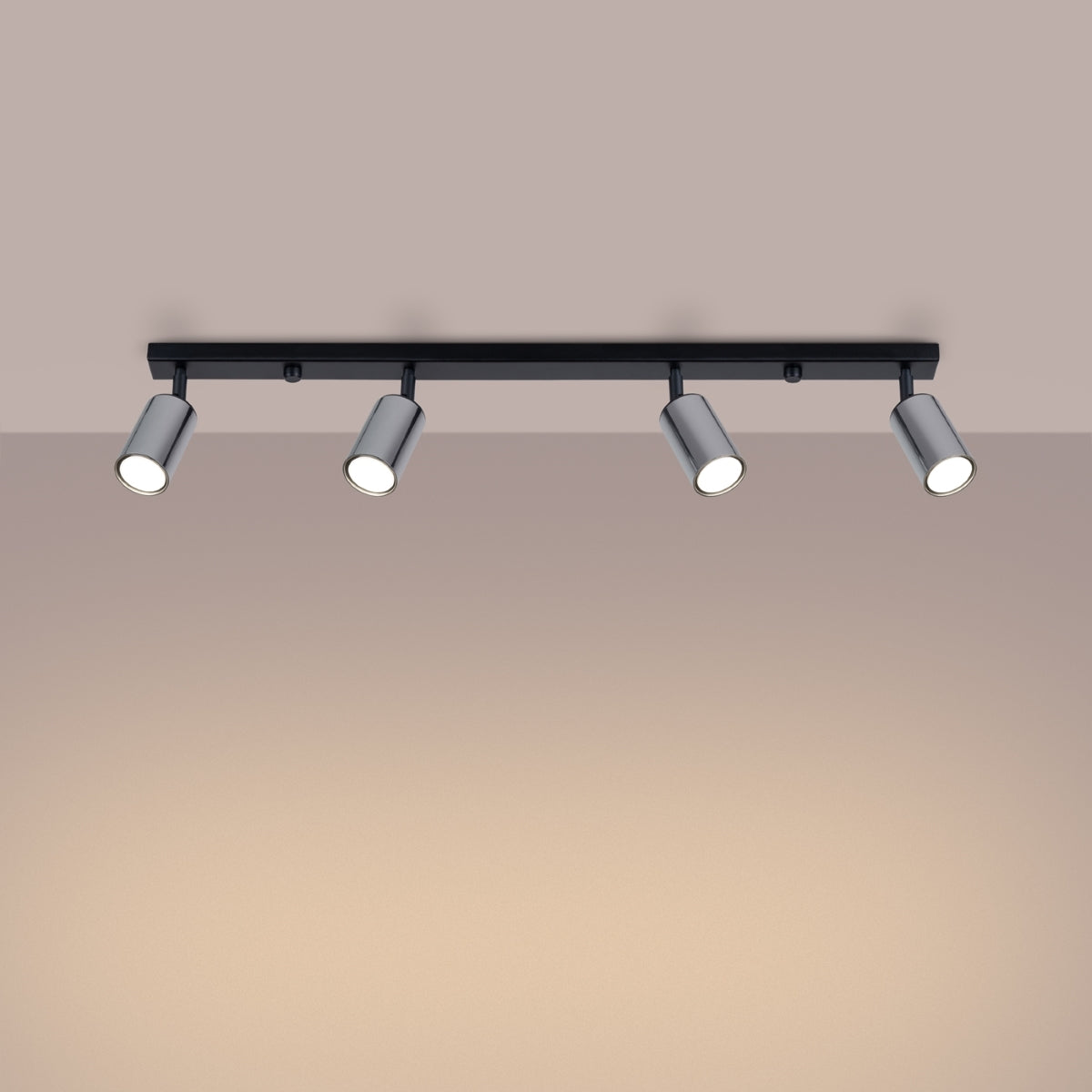 Winx 4L Ceiling Light