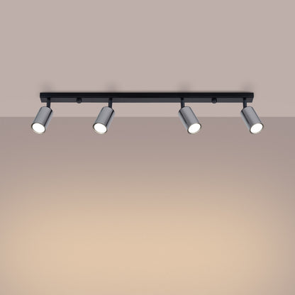 Winx 4L Ceiling Light