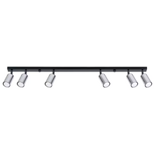 Winx 6L Ceiling Light