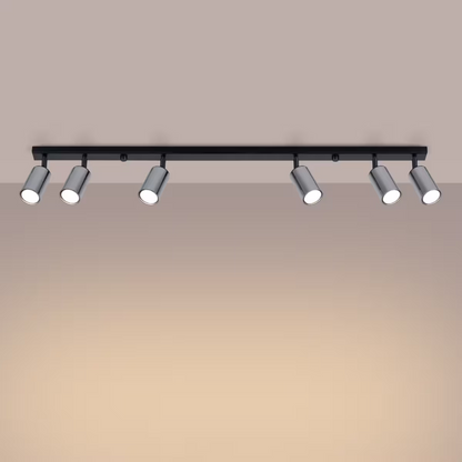 Winx 6L Ceiling Light