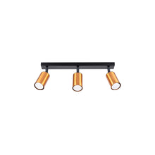 Winx 3 Ceiling Light