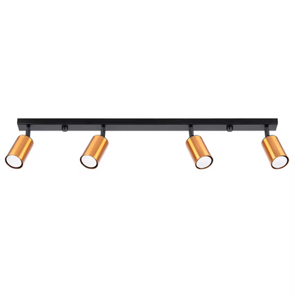 Winx 4L Ceiling Light