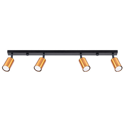 Winx 4L Ceiling Light