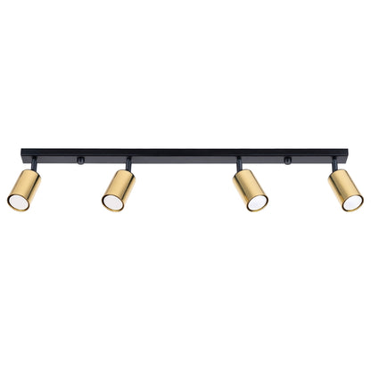 Winx 4L Ceiling Light