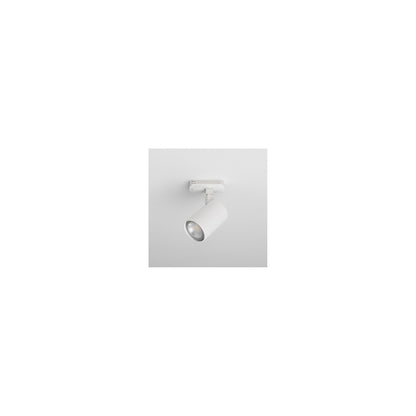 Ascoli Track Single Adjustable Ceiling Spotlight