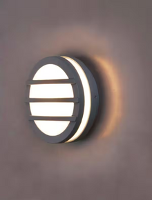 1-Light Wall/Ceiling Lantern