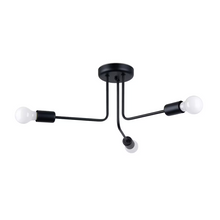 Norah 3 Chandelier in Black