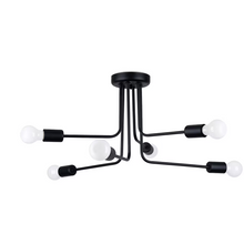 Norah 6 Chandelier in Black