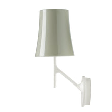 Birdie Wall Light with Metallized Blown Glass & Varnished Steel