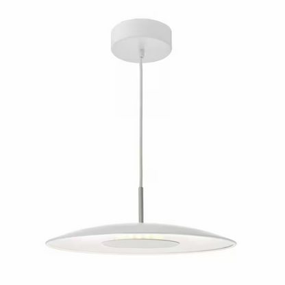 Enoch Single LED Pendant