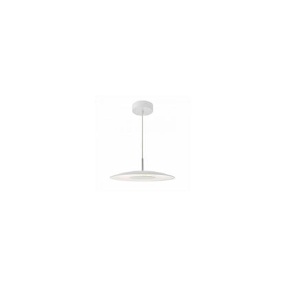 Enoch Single LED Pendant with Stainless Steel Detailing
