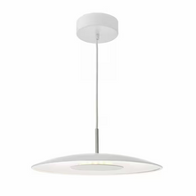 Enoch Single LED Pendant