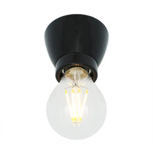 Mullan Lighting Baltimore Ceiling Light