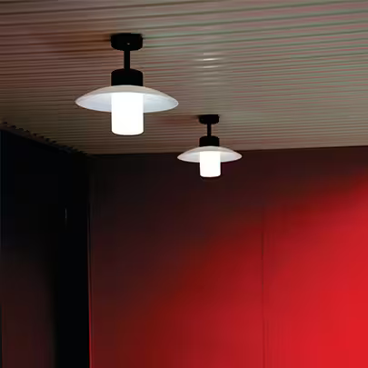 Aubanne Frosted Glass Ceiling Light with Flexible Polycarbonate Reflector