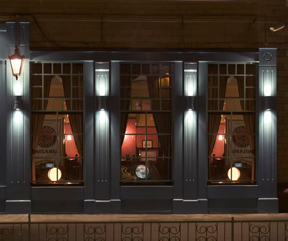 Duo Up & Down LED Wall Washer