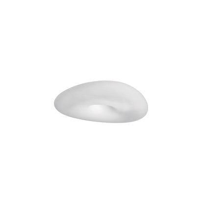 Mr. Magoo S Small LED Ceiling Light