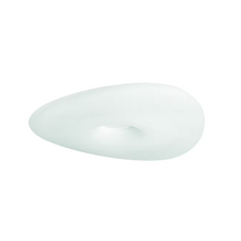 Mr. Magoo S Small LED Ceiling Light