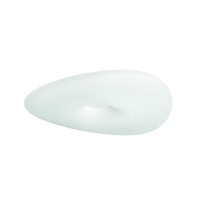 Mr. Magoo Ceiling Light