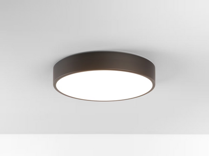 Mallon LED Ceiling Light